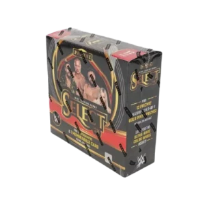 2024 Panini Select WWE Wrestling Hobby Box