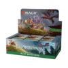 MTG - Bloomburrow - Play Booster Box